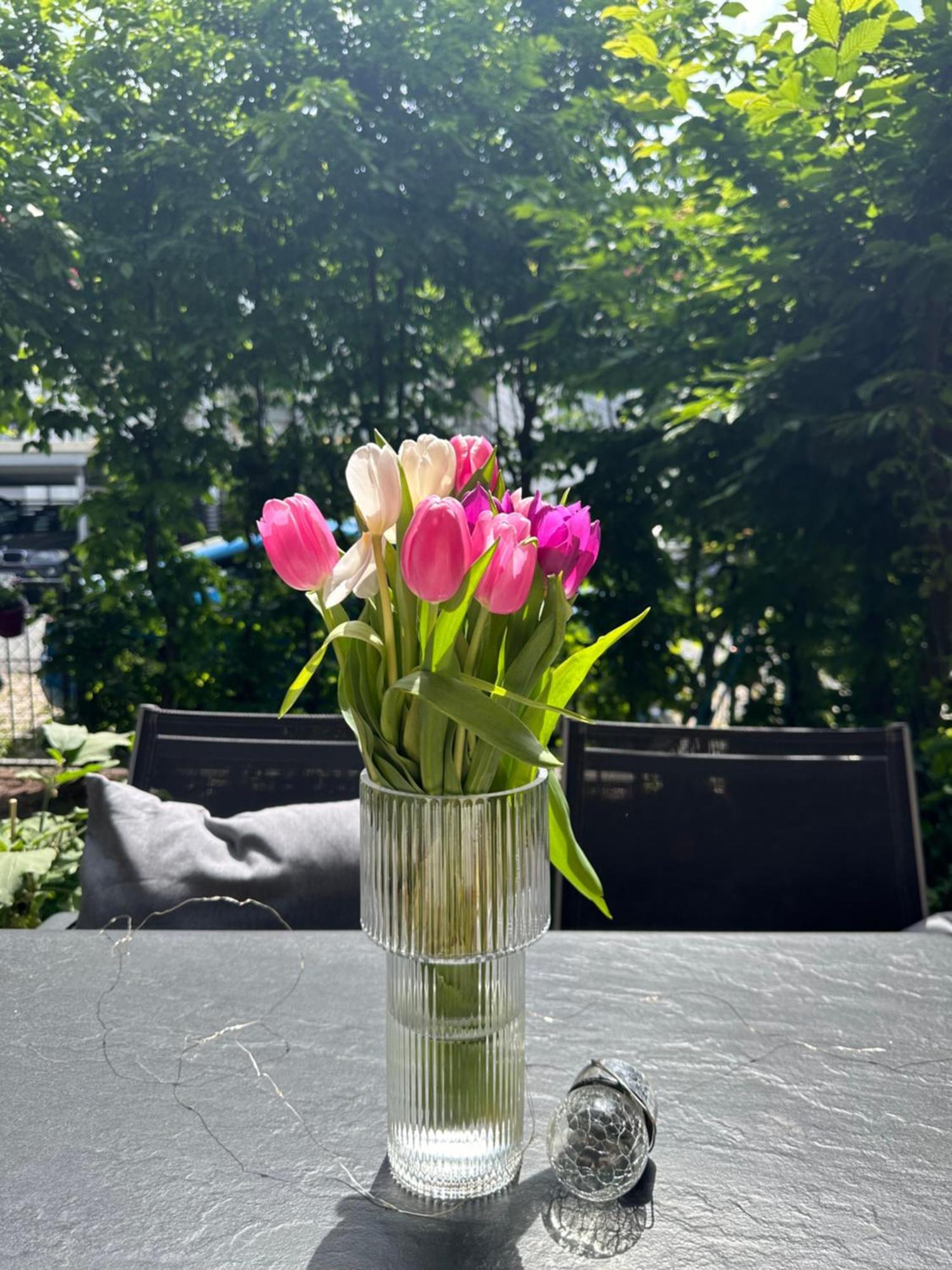 Luxus I Wohnkueche I Garten I Terrasse I Parkplatz Fürth Εξωτερικό φωτογραφία
